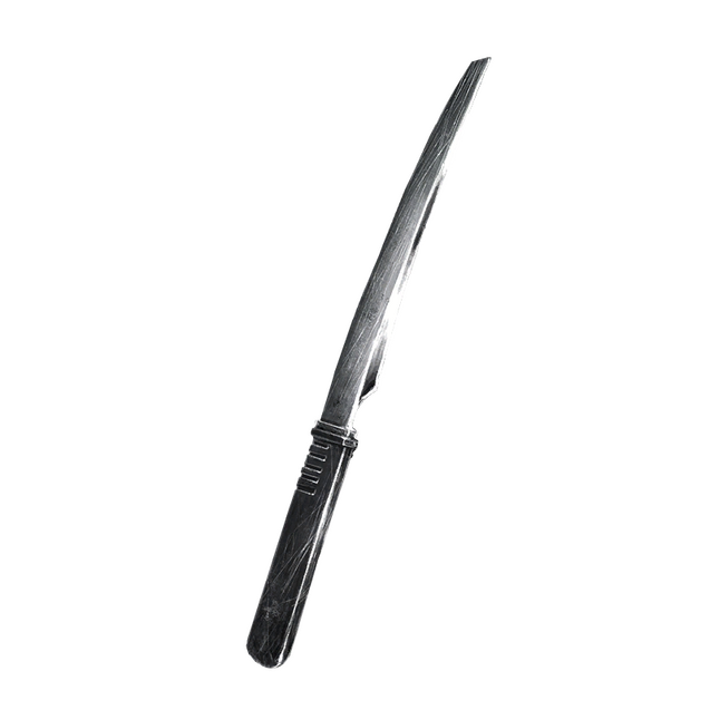 a red anatomical heart with recess in which there is a black-and-white spiral