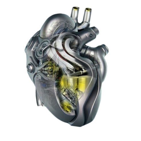 a transparent anatomical heart with visible cybernetic parts inside